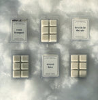 Wax Melt Trio │ Holiday Gift Box